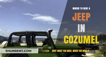 Explore Cozumel: Top Jeep Rental Spots for Your Adventure