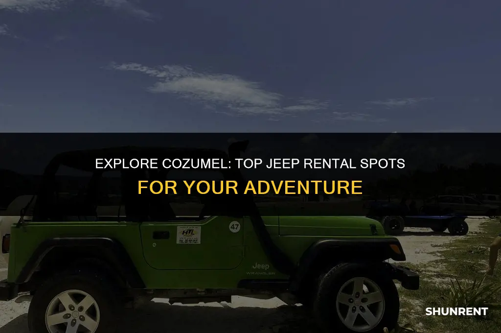 where to rent a jeep in cozumel