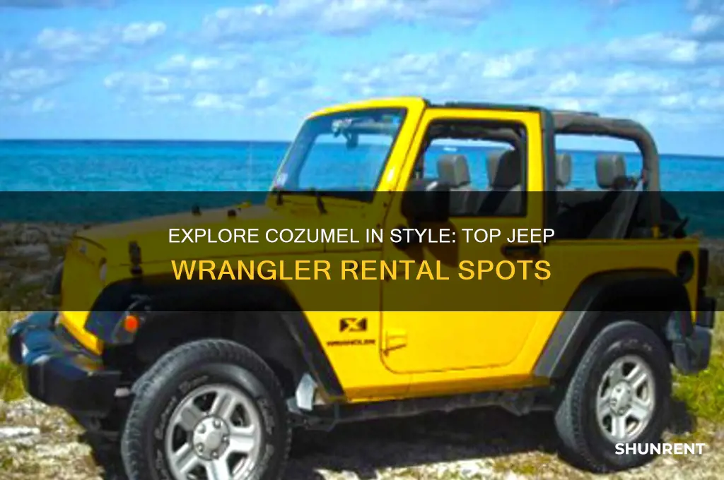 where to rent a jeep wrangler in cozumel