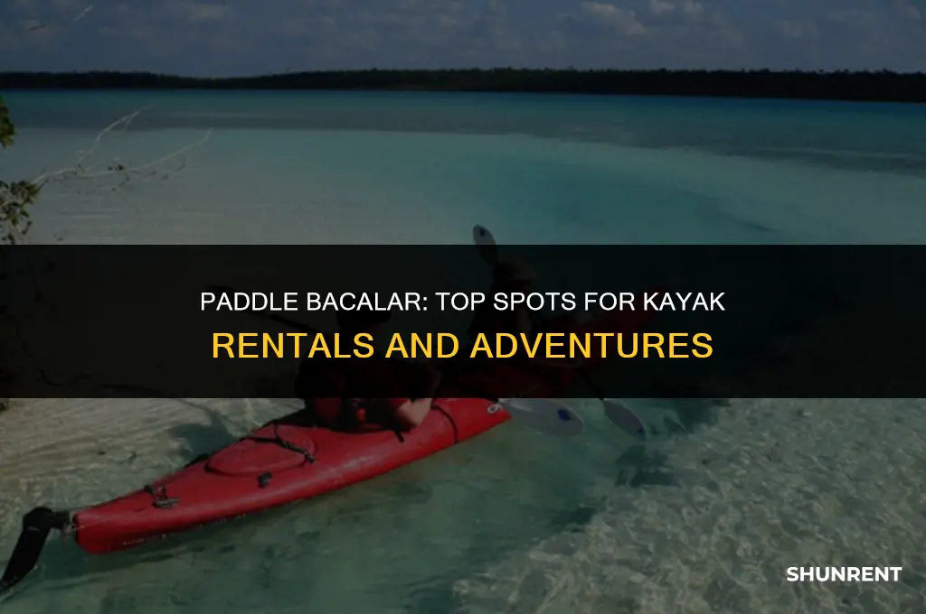 where to rent a kayak in bacalar