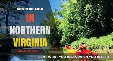 Top Kayak Rental Spots in Northern Virginia for Outdoor Adventures