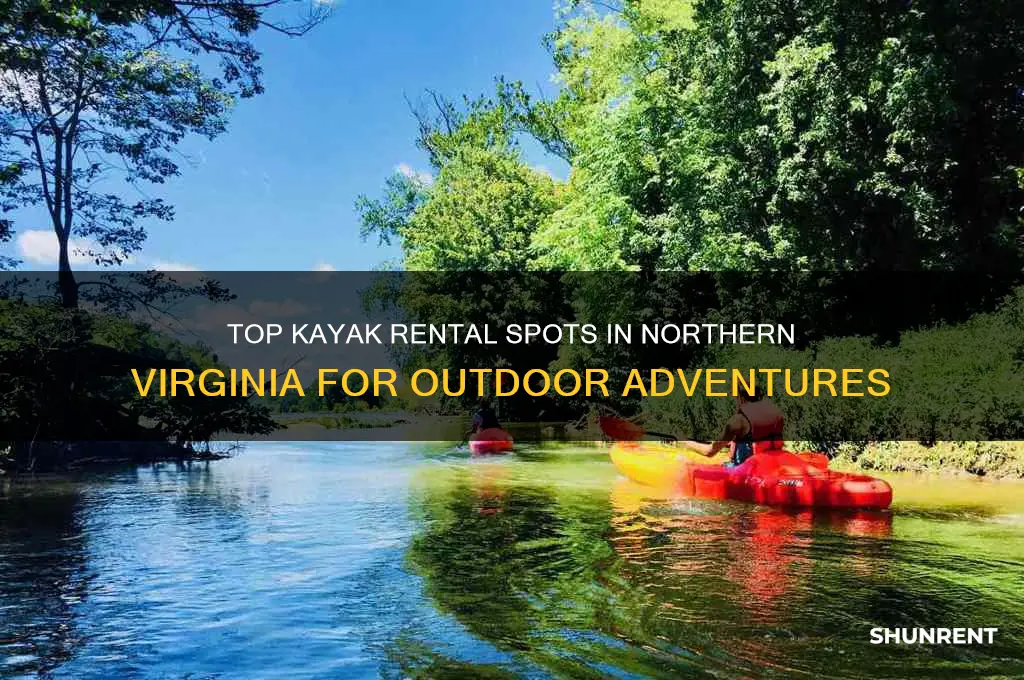 where to rent a kayak in northern virginia