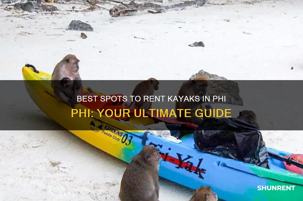 where to rent a kayak in phi phi