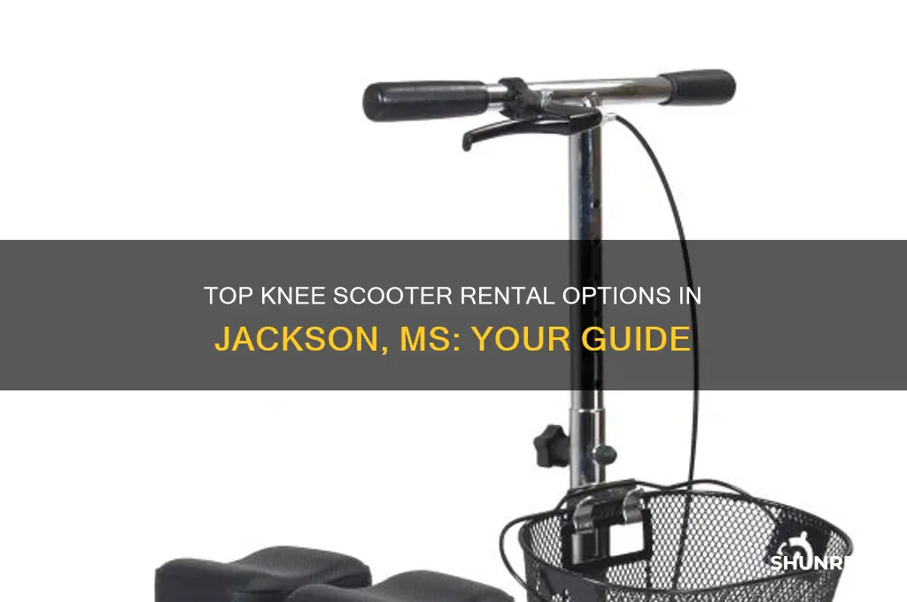 where to rent a knee scooter jackson ms