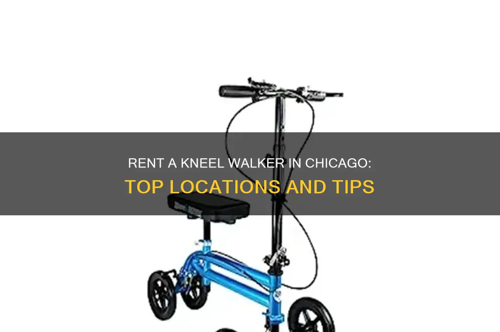 where to rent a kneel walker in chicago