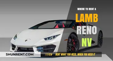 Where to Rent a Lamb in Reno, NV: A Comprehensive Guide