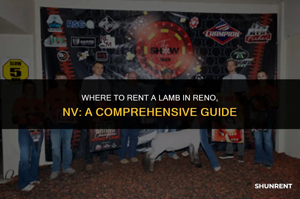 where to rent a lamb reno nv