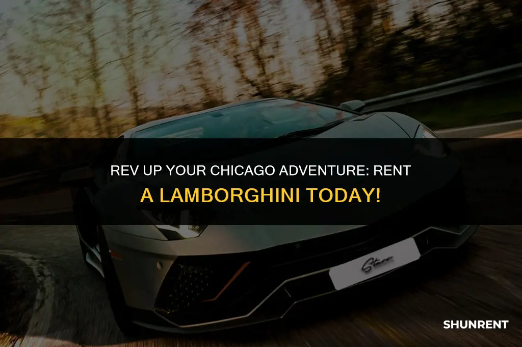 where to rent a lamborghini in chicago