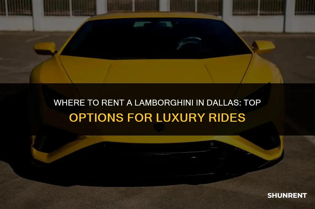 where to rent a lamborghini in dallas