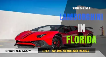 Exotic Car Rentals in Florida: Where to Rent a Lamborghini