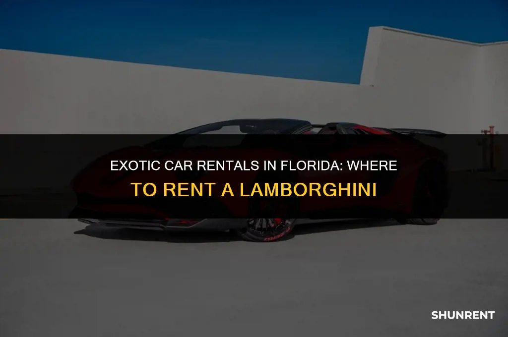 where to rent a lamborghini in florida