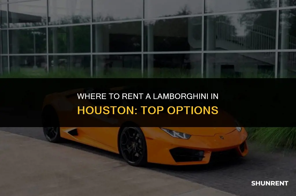 where to rent a lamborghini in houston