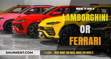 Exotic Car Rentals: Where to Rent a Lamborghini or Ferrari