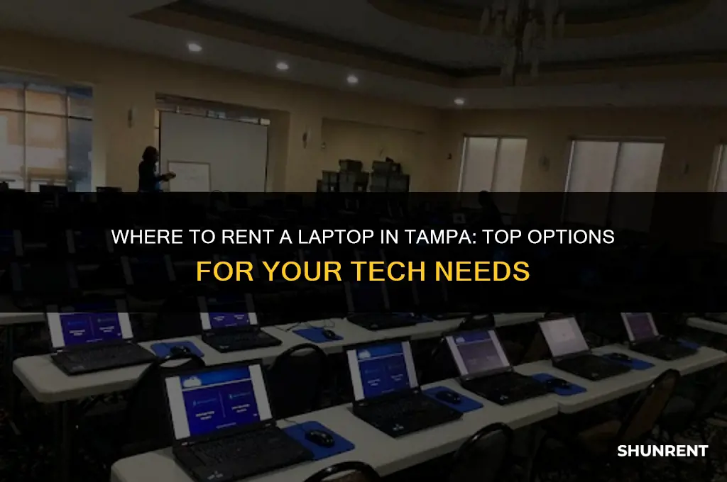 where to rent a laptop in tampa
