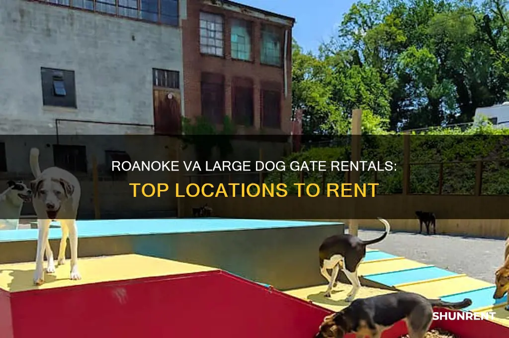 where to rent a large dog gate in roanoke va