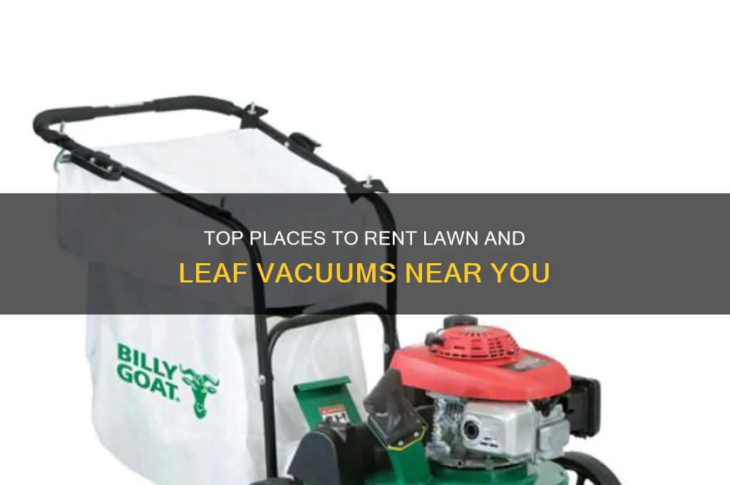 where to rent a lawn and leaf vacumm