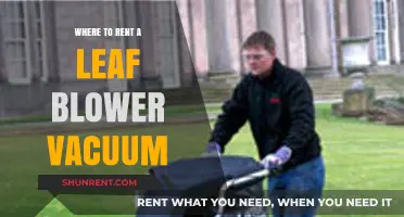 Leaf Blower Vacuum Rentals: Your Ultimate Guide to Local Options