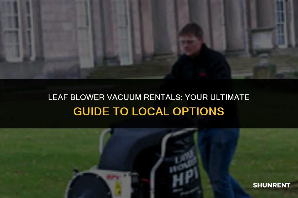 where to rent a leaf blower vacuum