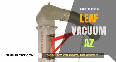 Fall Cleanup Made Easy: Top Leaf Vacuum Rentals in Arizona