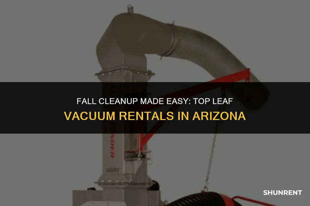 where to rent a leaf vacuum az