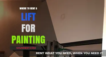 Elevate Your Painting Project: Top Tips for Renting the Perfect Lift