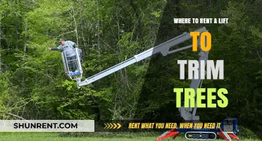 Top Tree Trimming Lift Rental Options: Where to Find Them