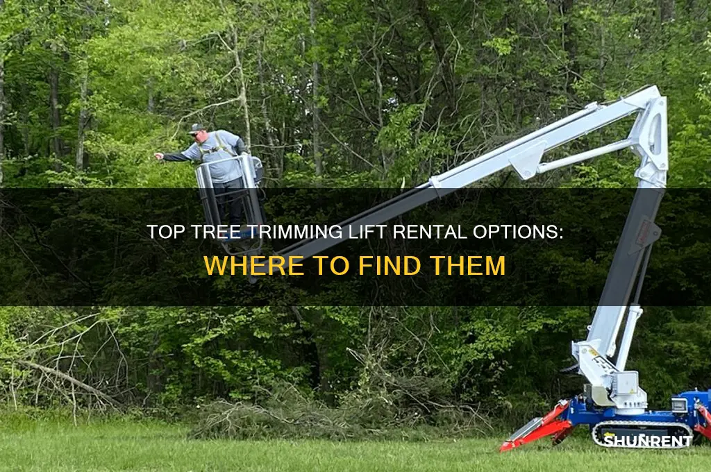 where to rent a lift to trim trees