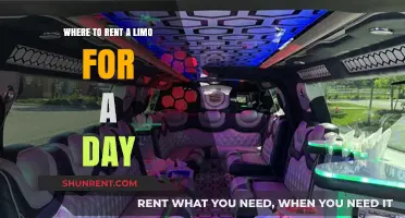 Top Limo Rental Services for Your Perfect One-Day Luxury Experience