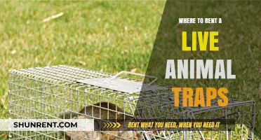 Where to Rent Live Animal Traps: A Comprehensive Guide