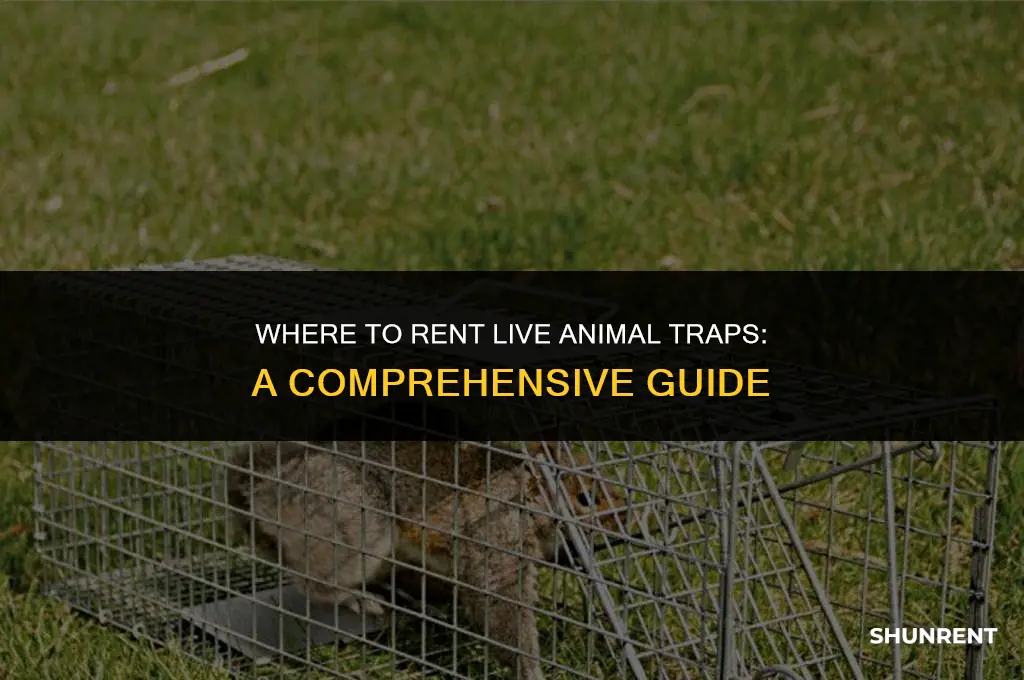 where to rent a live animal traps