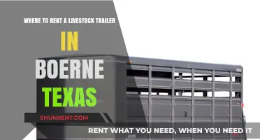 Top Livestock Trailer Rental Options in Boerne, Texas