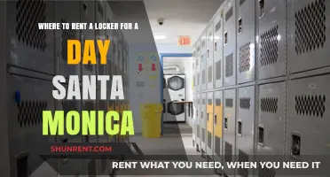 Secure Daily Locker Rentals in Santa Monica: Top Locations Guide