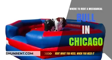 Chicago's Best Mechanical Bull Rentals: Where to Find Them