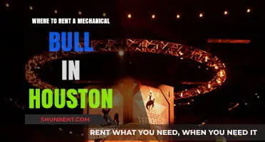 Houston's Top Mechanical Bull Rentals: Where to Find the Best