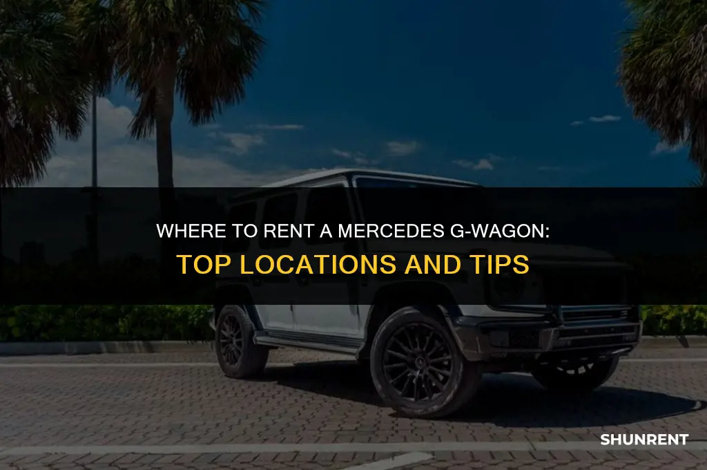 where to rent a mercedes g wagon