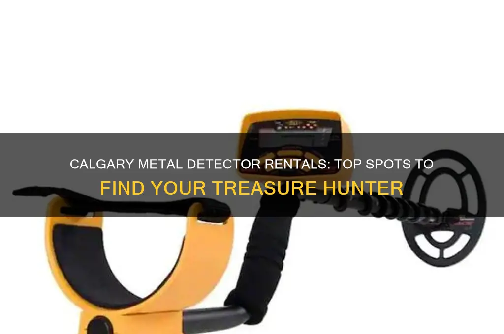 where to rent a metal detector in calgary