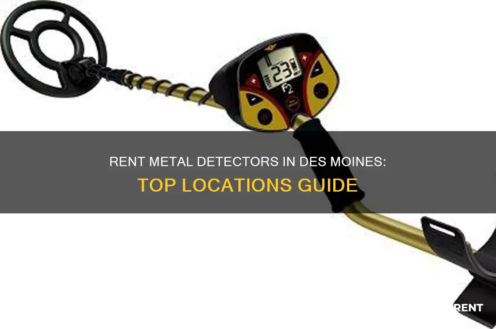 where to rent a metal detector in des moines