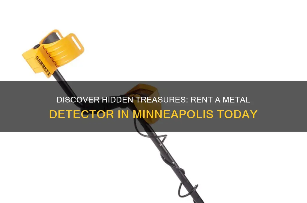 where to rent a metal detector in minneapolis
