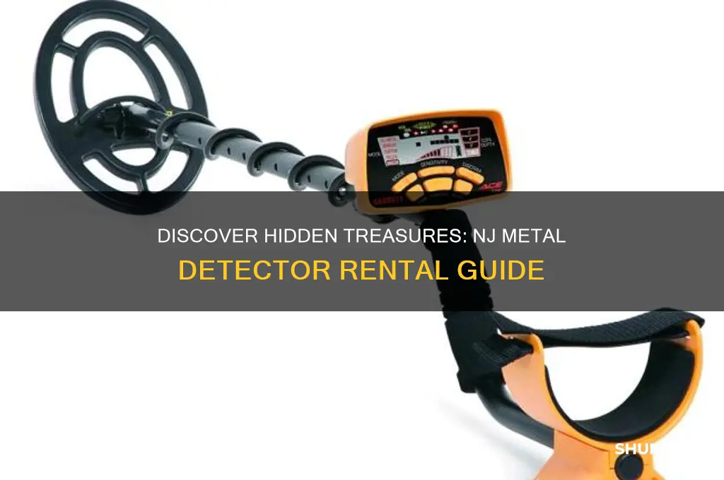 where to rent a metal detector in nj