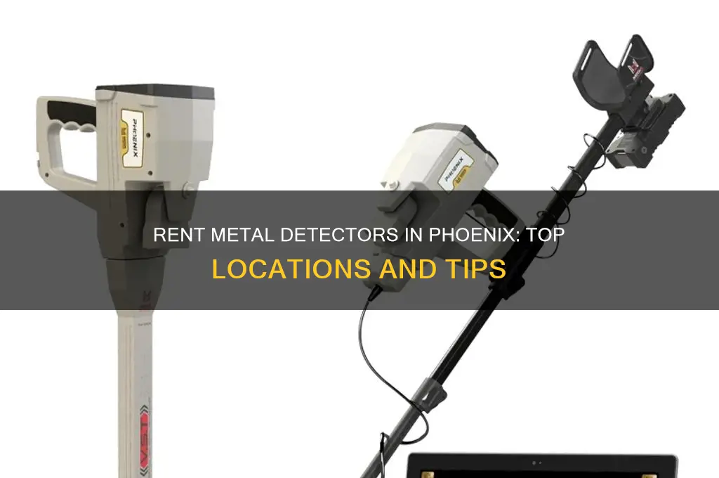 where to rent a metal detector in phoenix