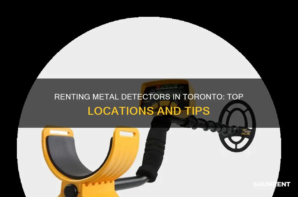 where to rent a metal detector in toronto