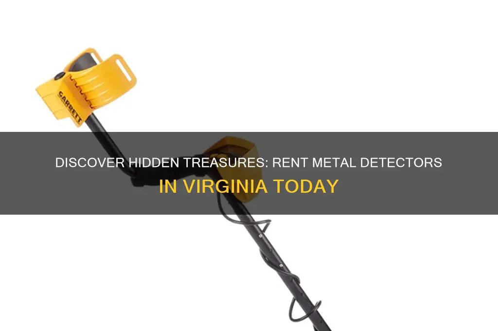 where to rent a metal detector in virginis