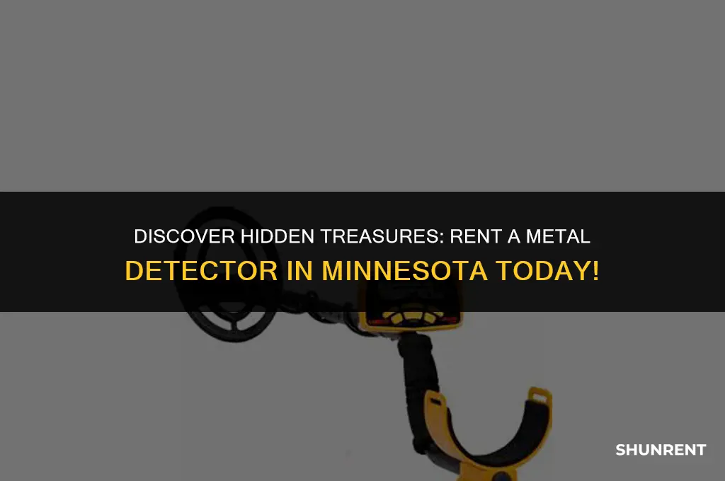where to rent a metal detector mn