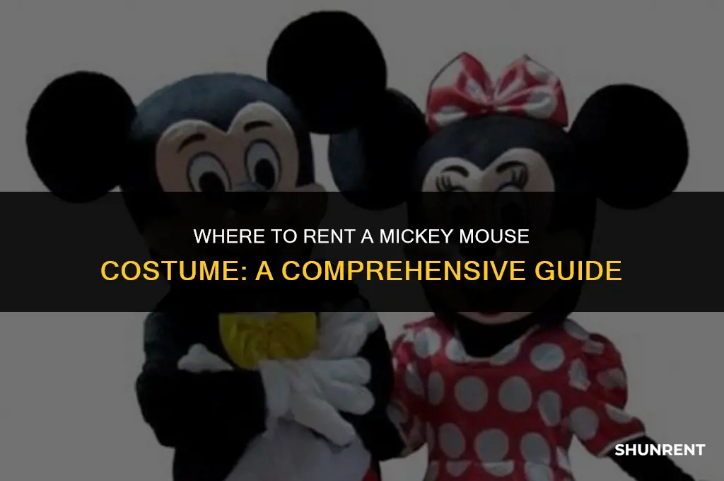 where to rent a mickey mouse costume