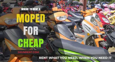 Affordable Moped Rentals: Explore Your City on a Budget