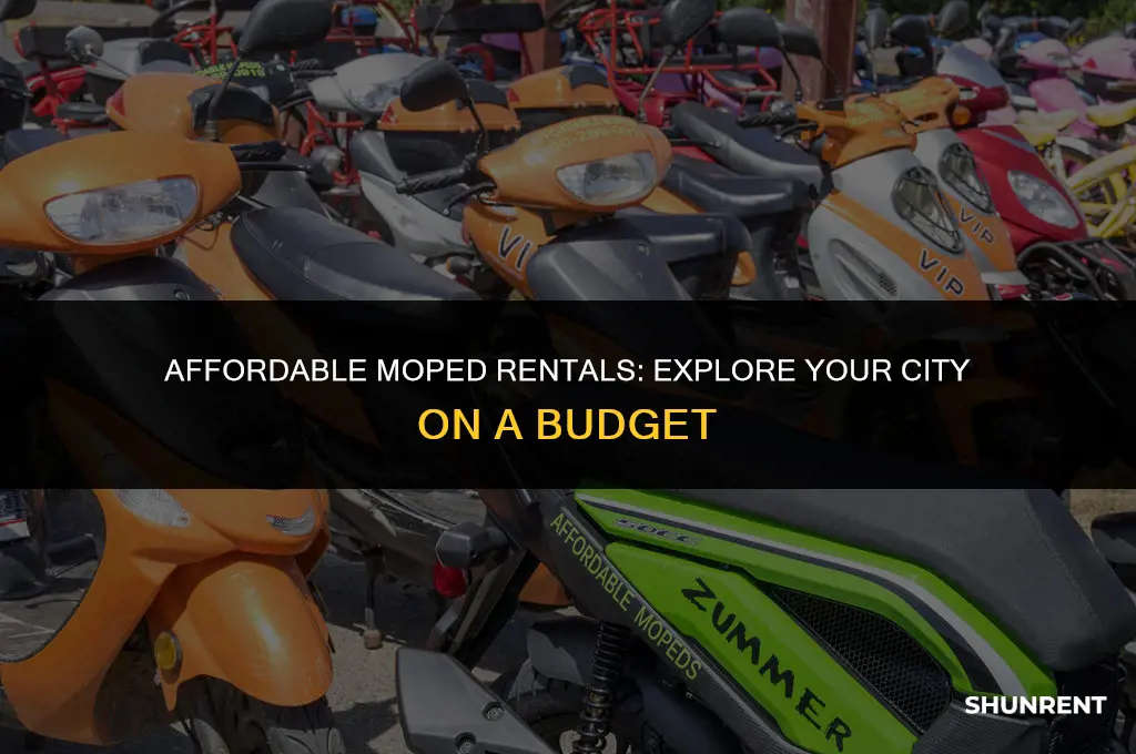 where to rent a moped for cheap