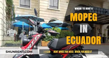 Exploring Ecuador on Two Wheels: Your Guide to Renting a Moped