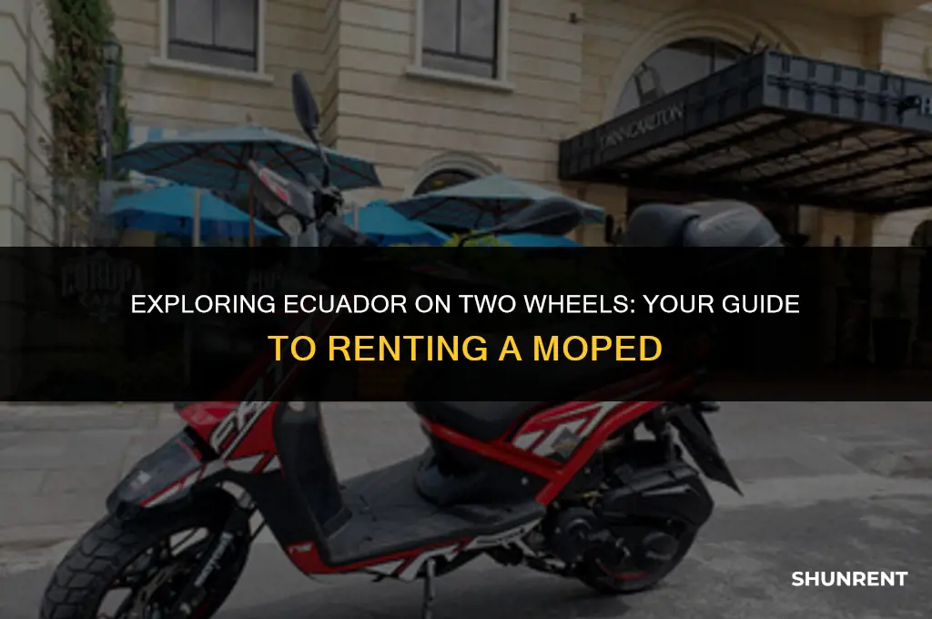 where to rent a mopeg in ecuador