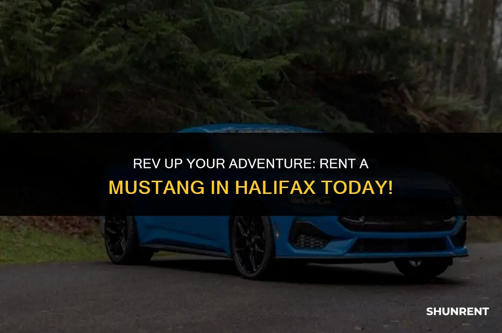 where to rent a mustang in halifax