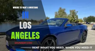 Top Spots to Rent a Mustang in Los Angeles Today